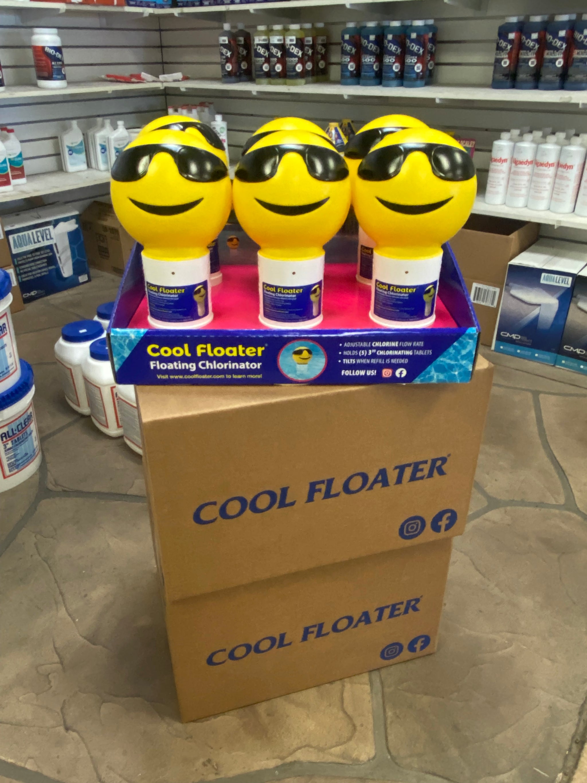 Bundle of 6 with Display Box – Cool Floater